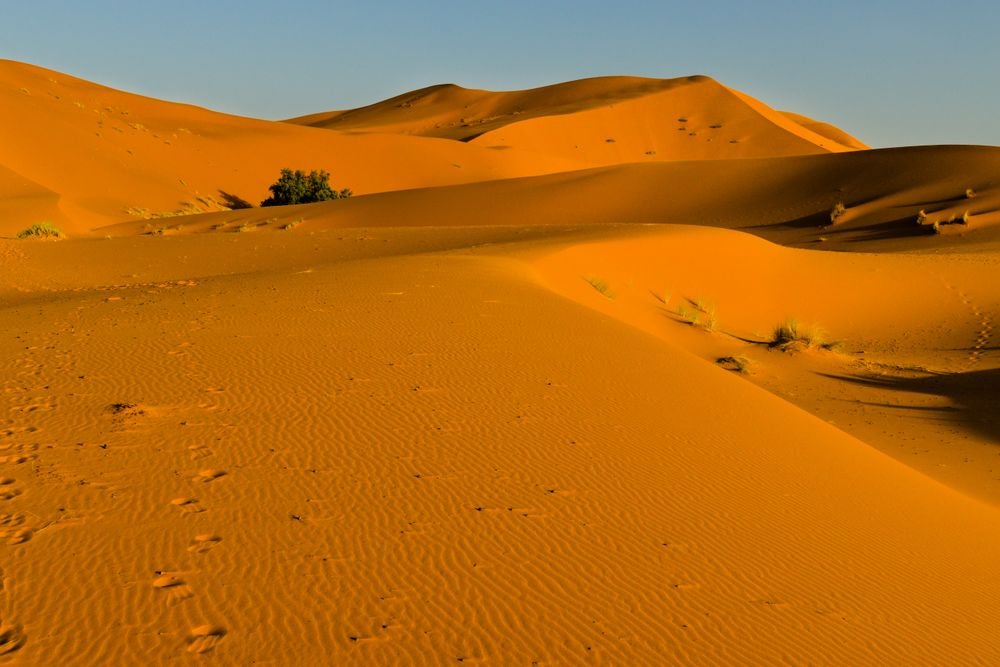 Evening desert safari dune bashing at sunset